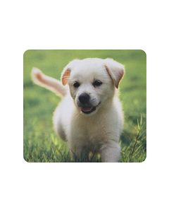 Insignia™ - Puppy Mouse Pad - Multi