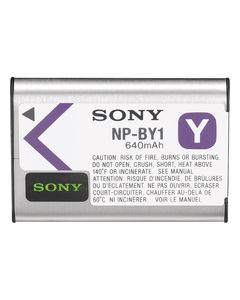 Sony - Y-Type Rechargeable Lithium-Ion Battery - Silver